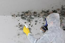 Best HVAC Mold Inspection and Cleaning  in Basile, LA